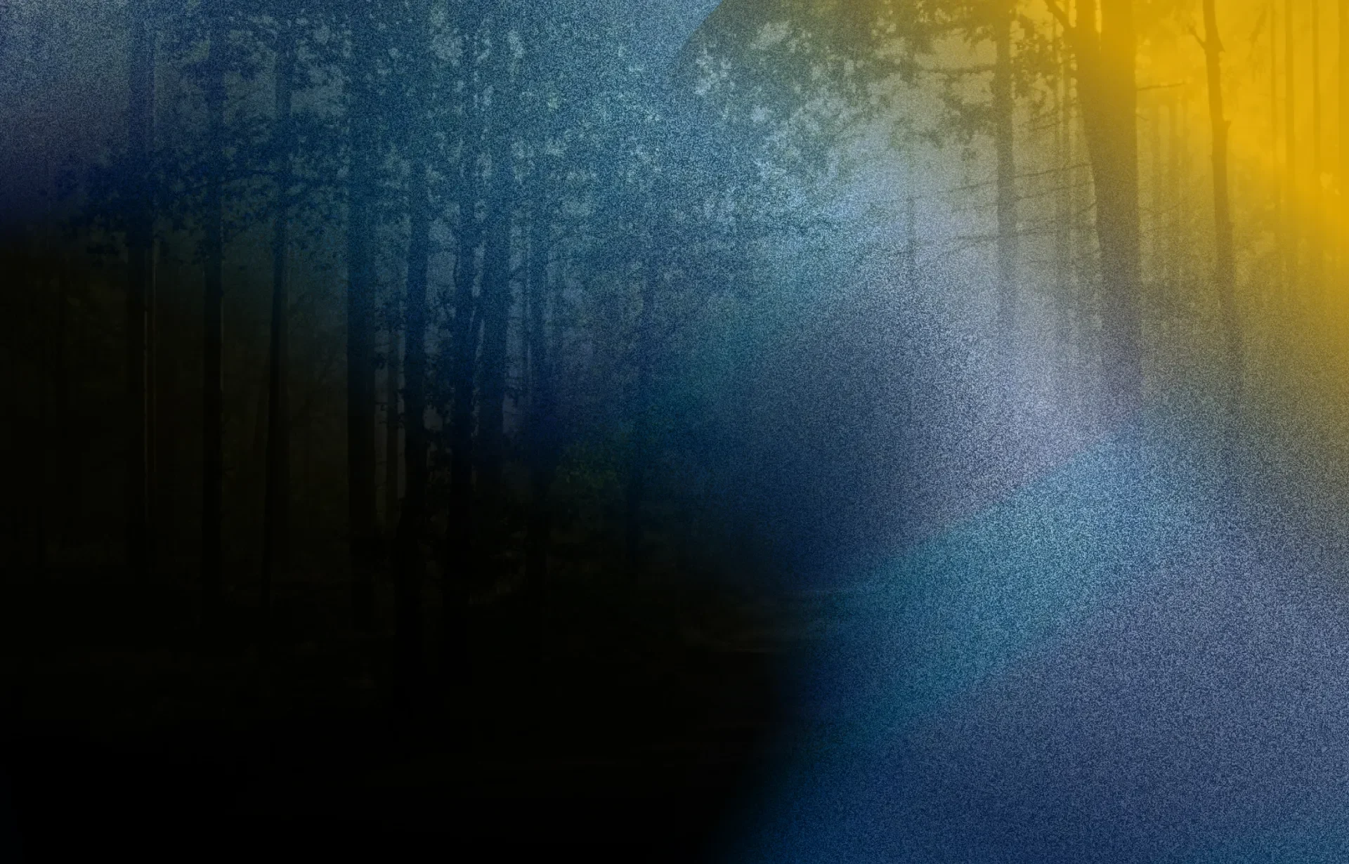 Memoir navigating bereavement by Cooper